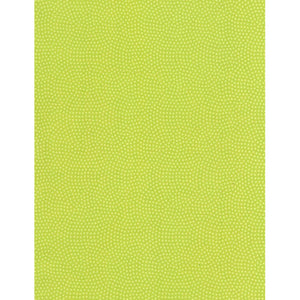 Timeless Treasures - Spin Dot - Spring - 1/2 YARD CUT