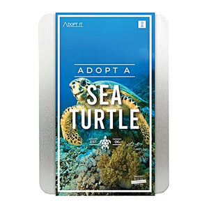 Adopt a Sea Turtle Kit