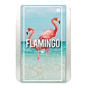Adopt a Flamingo Kit