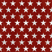 Load image into Gallery viewer, henry glass live free red star fabric
