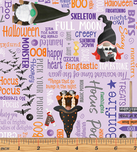 Load image into Gallery viewer, Kanvas - Spooktacular Gnomes - Hocus Pocus Words Lilac - 1/2 YARD CUT
