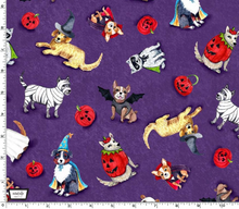 Load image into Gallery viewer, Michael Miller - Howl-O-Ween - Spooky Poochy - 1/2 YARD CUT
