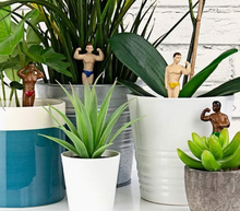 Load image into Gallery viewer, Mini Plant Pot Hunks
