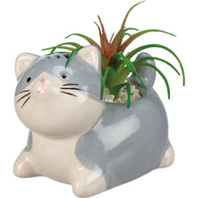 Load image into Gallery viewer, Mini Cat Planter
