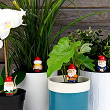 Load image into Gallery viewer, Mini Plant Pot Naughty Gnomes
