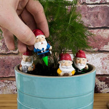 Load image into Gallery viewer, Mini Plant Pot Gnomes
