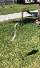 Load image into Gallery viewer, Dancing Yard Sandhill Crane
