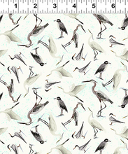 Load image into Gallery viewer, Clothworks - Seashell Wishes - Seabirds Cream - 1/2 YARD CUT
