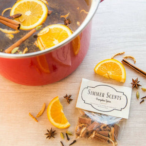 Christmas Spice Simmer Scents
