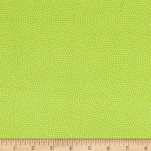 Timeless Treasures - Spin Dot - Spring - 1/2 YARD CUT