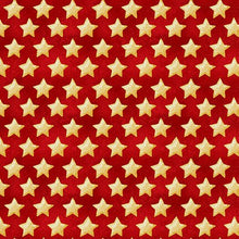 Load image into Gallery viewer, Henry Glass &amp; Co - Land of the Free Stars - 1/2 YARD CUT
