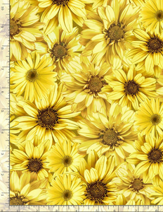 Timeless Treasures - Queen Bee - Packed Sunflowers - 1/2 YARD CUT