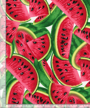 Load image into Gallery viewer, Timeless Treasures - Watermelons - 1/2 YARD CUT
